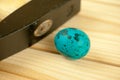 Single ordinary black heavy hammer head beside a common quail egg painted in blue with spots pattern