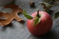 Single organic apple with leaves over fall themed background