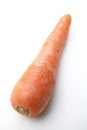 A single Organic Carrot Royalty Free Stock Photo