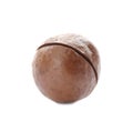 Single organic Macadamia nut