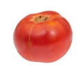 single organic red tomato isolated on white Royalty Free Stock Photo