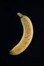 Single organic spotted banana isolated on black