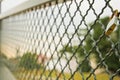 Single padlock attached to a metal fence