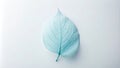 Single pale blue leaf on a light background, botanical minimalist design element. Generative AI Royalty Free Stock Photo
