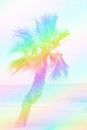 Single palm tree growing on a beach. Turquoise sea blue sky. Beautiful rainbow colors toning. Tropical vacation relaxation fun Royalty Free Stock Photo