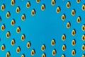 single papaya fruit cutter on half on blue background