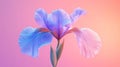 A Single Pastel Blue Iris Flower Bloom Royalty Free Stock Photo