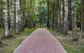 A single path made of paving slabs, landscaping in park and forest areas, a place for walking or playing sports Royalty Free Stock Photo