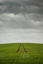 Single path of tyre tracks through green field and over hill beyond with dramatic clouds above Royalty Free Stock Photo