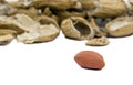 Single peanut with empty shells Royalty Free Stock Photo