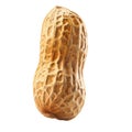A Single Peanut in its Shell, Isolated on a Black Background Royalty Free Stock Photo