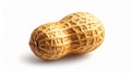Peanut in Shell Isolated on White Background with Shadow groundnut legume Royalty Free Stock Photo