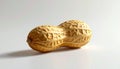 Single Peanut in Shell on White Background with Soft Shadow groundnut legume Royalty Free Stock Photo