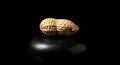 A single peanut rests dramatically on a dark stone Royalty Free Stock Photo