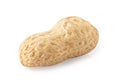 Single peanut in shell