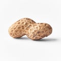 Single peanut with shell isolated on a white background Royalty Free Stock Photo