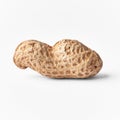 Single peanut with shell isolated on a white background Royalty Free Stock Photo