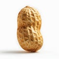 Single peanut shell isolated on white background Royalty Free Stock Photo