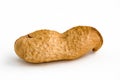 Single peanut - isolated