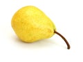 A single pear Royalty Free Stock Photo