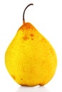 A single pear Royalty Free Stock Photo