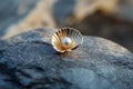 A single pearl earring resting in an open seashell styled on a smooth Royalty Free Stock Photo