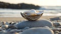 A single pearl sitting in an open oyster shell, placed on a smooth Royalty Free Stock Photo