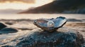 A single pearl sitting in an open oyster shell, placed on a smooth Royalty Free Stock Photo