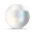 Single pearl vector illustration. Pearl isolated on white backgorund with shadow. 3d natural oyster, pearl, shiny sea