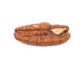 Single pecan nut isolated Royalty Free Stock Photo