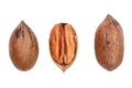 Single pecan nut isolated on white background, set of three different foreshortenings. Top view Royalty Free Stock Photo