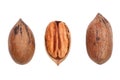 Single pecan nut isolated on white background, set of three different foreshortenings. Top view