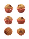 Single pecan nut muffin isolated Royalty Free Stock Photo