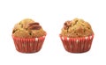 Single pecan nut muffin isolated Royalty Free Stock Photo