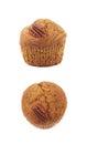 Single pecan nut muffin isolated Royalty Free Stock Photo