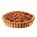A Single Pecan Pie with a Flaky Crust Royalty Free Stock Photo