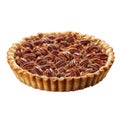 A Single Pecan Pie with a Flaky Crust Royalty Free Stock Photo