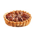 Single pecan pie with a flaky crust Royalty Free Stock Photo