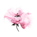 Single flower. Watercolor soft pink floral element for wedding invitation decor. Gentle peony bud.