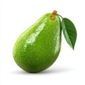 Vibrant Green Avocado with Leaf Isolated on White Background Studio Lighting Royalty Free Stock Photo
