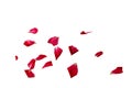 single petals of a red rose, clipart, isolated on a white Royalty Free Stock Photo