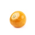 Single physalis fruit isolated Royalty Free Stock Photo