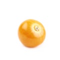 Single physalis fruit isolated Royalty Free Stock Photo