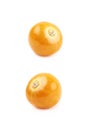 Single physalis fruit isolated Royalty Free Stock Photo
