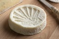 Single piece of French le Compostelle goats cheese close up Royalty Free Stock Photo