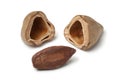 Single pili nut and shell