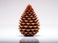 Single pine cone isolated in white background. Royalty Free Stock Photo