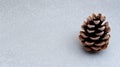 A single pine cone with a rough texture and a light dusting of snow sits on a gray surface. Royalty Free Stock Photo