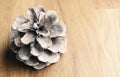 A single pine cone on a rustic wooden table with space for text