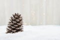 Single Pine Cone in Snow with Copy Space Royalty Free Stock Photo